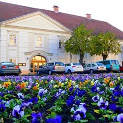 Wellness Hotel Kalocsa - Hotel külső látkép