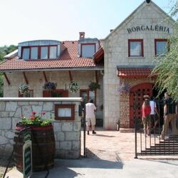 Borgaléria Panzió Tokaj - 