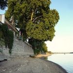 Tímea Apartman Verőce