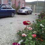 Gostevoj Dom Elser Sudak