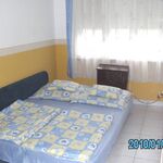 Timi Apartmanház Hajdúszoboszló
