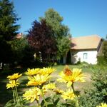 Vadvirágos Pihenőhely Mórahalom