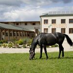 Pro Equus Lovaspark Bagod