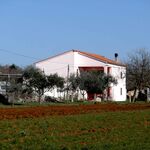 Apartman Petar Pula